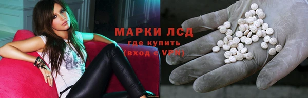 PSILOCYBIN Белокуриха