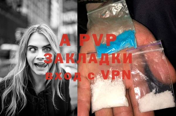 PSILOCYBIN Белокуриха